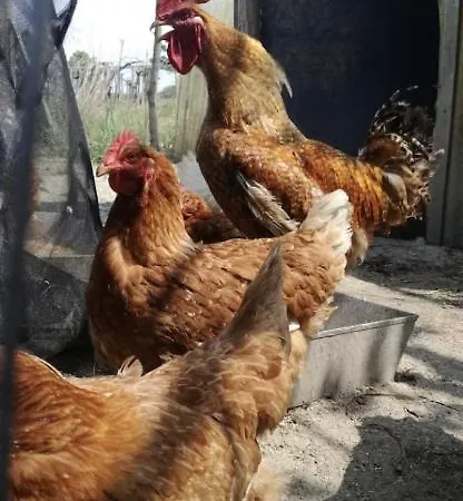 Azienda Agricola Giorgio * 토리노 디 산그로